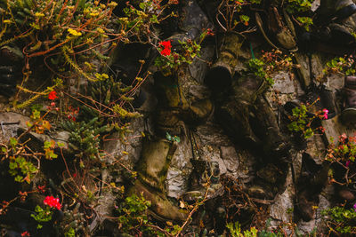 High angle view of statue by trees