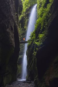 Waterfall at forest