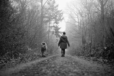 Rear view of people walking on footpath in forest