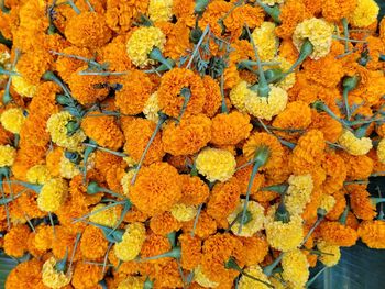 Full frame shot of yellow flowers in market