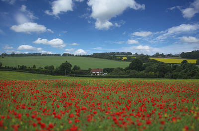 Scenic view of field against cloudy sky