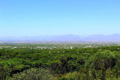 Scenic view of field against clear sky