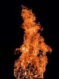 Low angle view of bonfire against black background