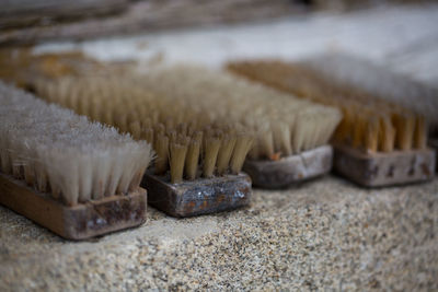 Close-up of cleaning brush on concrete