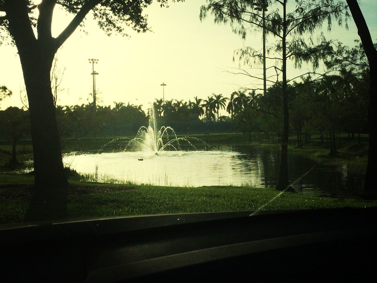 water, tree, transportation, reflection, lake, river, clear sky, nature, road, tranquility, mode of transport, tranquil scene, car, beauty in nature, scenics, sky, growth, land vehicle, no people, grass