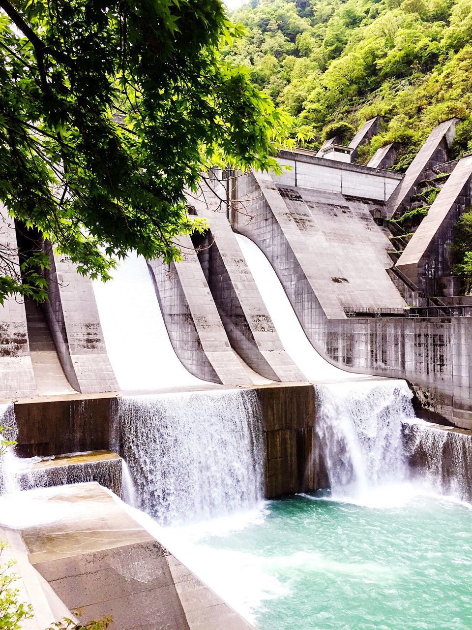 water, tree, architecture, plant, built structure, flowing water, motion, dam, nature, hydroelectric power, long exposure, day, waterfall, renewable energy, no people, scenics - nature, beauty in nature, fuel and power generation, environmental conservation, flowing, outdoors, power in nature