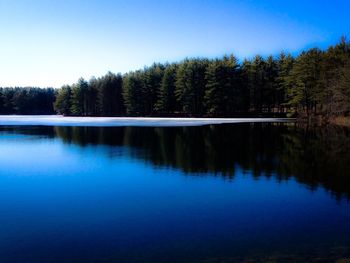Reflection of trees in calm lake