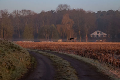 Road amidst field against sky