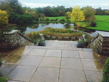 Trees in pond