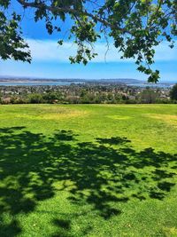 Scenic view of field against sky