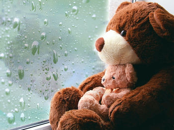 Brown teddy bear is sad sitting by the window with baby 