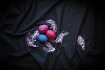 High angle view of easter eggs on textile with feather