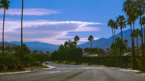 Road by trees in city against sky