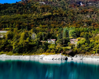 Scenic view of lake by trees in forest