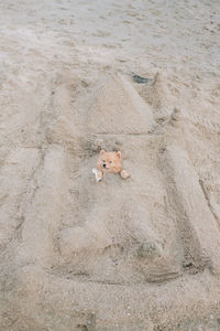 High angle view of dog buried in sand at beach