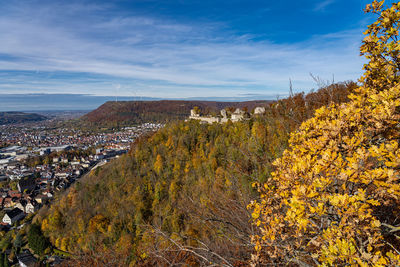 Plants growing on field by buildings against sky