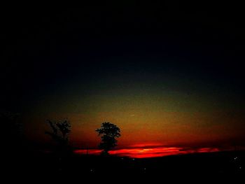 Silhouette trees against sky at night