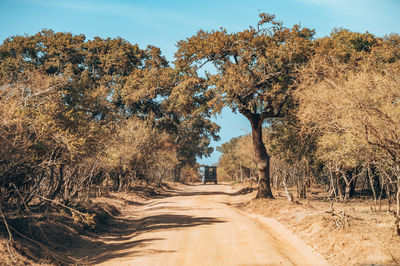 Road amidst trees against sky