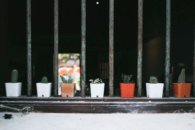 Potted plants on window