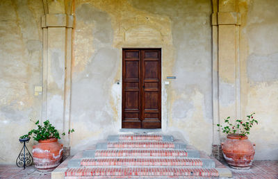 Steps amidst potted plants on entrance of old house