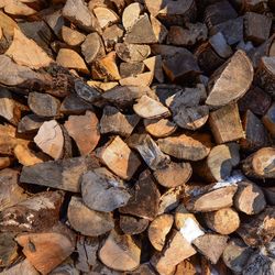 Full frame shot of logs in forest