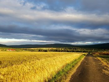 Scenic view of field against cloudy sky