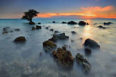 Scenic view of sea at sunset