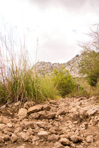 Scenic view of land against sky