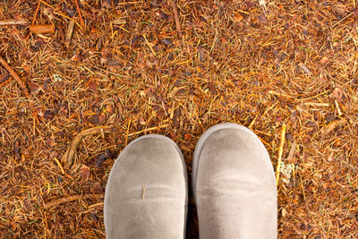 Low section of person standing on field