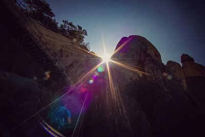 Sun shining through trees