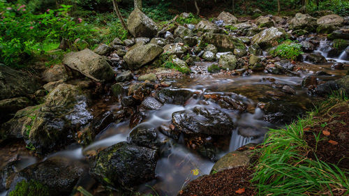 Stream flowing through rocks in forest