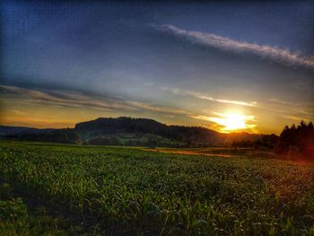 Scenic view of field against sky during sunset