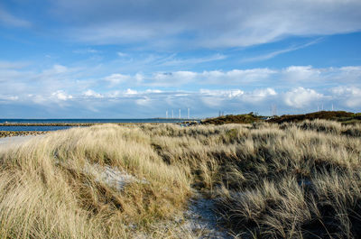 Scenic view of beach against sky