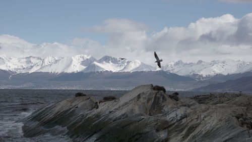 Scenic view of snowcapped mountains against sky