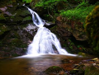 View of waterfall in forest