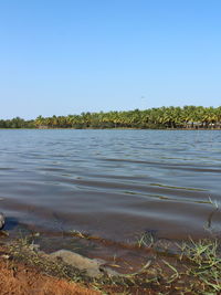 Scenic view of lake against clear blue sky