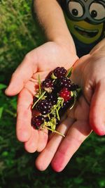 Midsection of person holding fruit