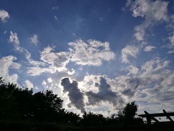 Low angle view of trees against sky