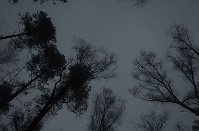 Low angle view of silhouette trees against clear sky