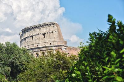 Trees against coliseum