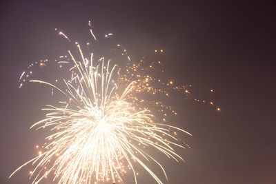 Low angle view of fireworks against sky at night