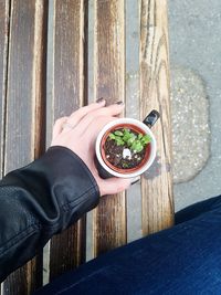 Low section of person holding plant on a bench