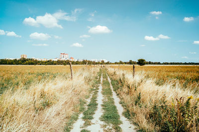 Scenic view of field against sky