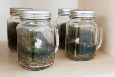 Terrarium in jars on table