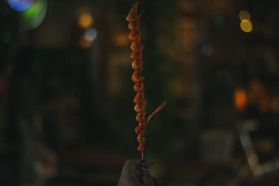 Close-up of hand holding leaf at night