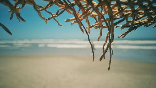 Close-up of sea waves