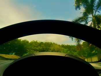 Trees seen through car windshield