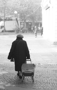 Rear view of man walking on bench in city