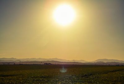 Sunlight falling on crop in field