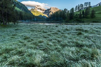 Scenic view of snow covered mountain